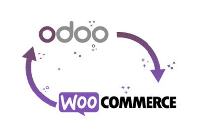 Odoo and WooCommerce Release Version 2.4 – Plugin Version Update